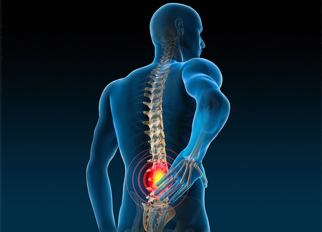 Adam Vital Hospital - Neck And Back Pain Care